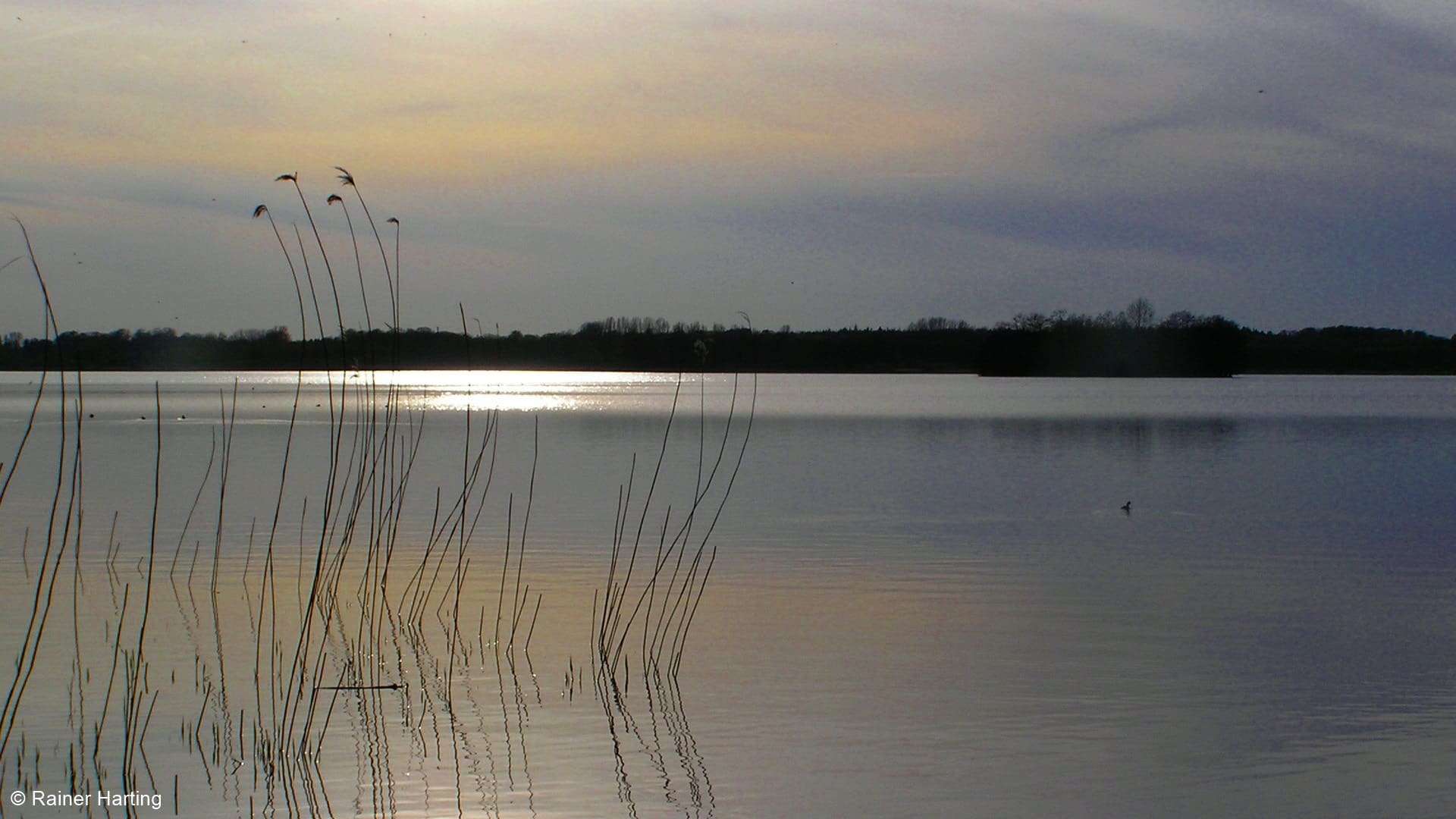 Lanker See